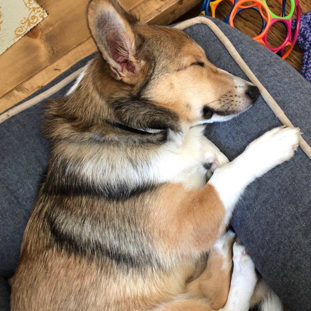 Meet your Posher, Kristina